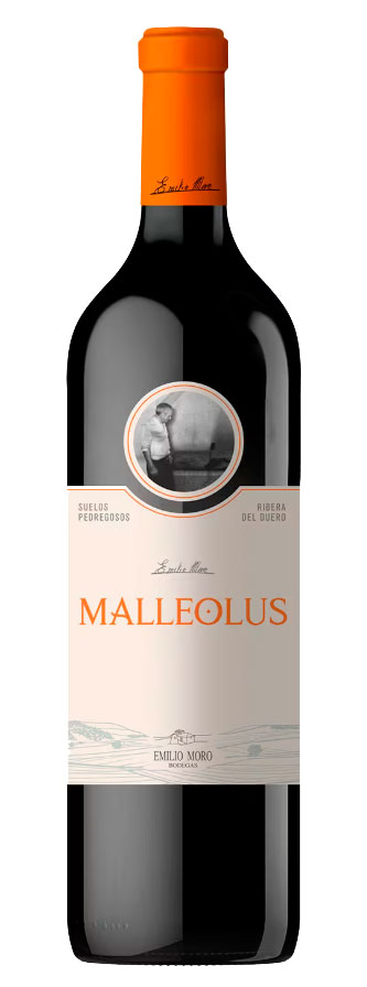 Malleolus