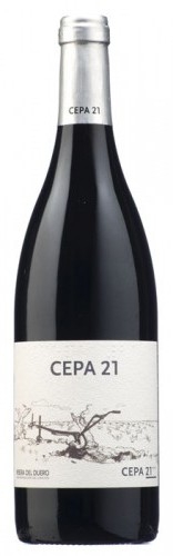 CEPA 21