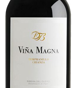 dominio basconcillos viña magna