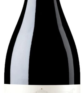 piqueras vs vendimia seleccionada