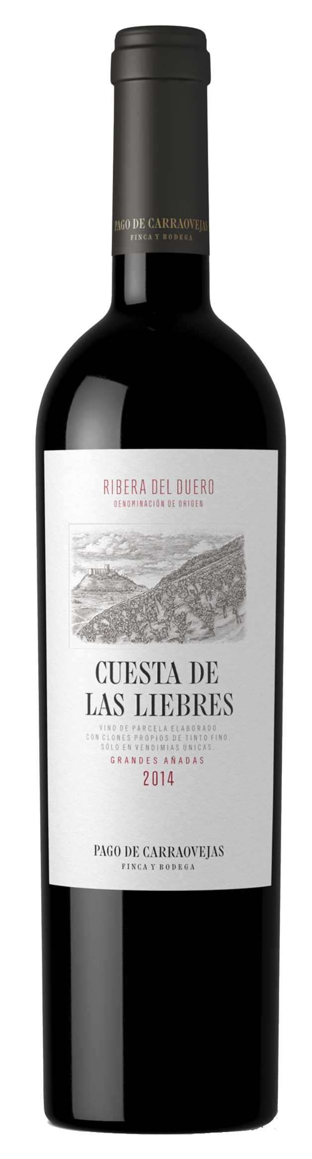 CUESTA DE LAS LIEBRES 2015
