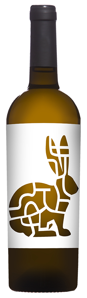 Madriguera Blanco_baja