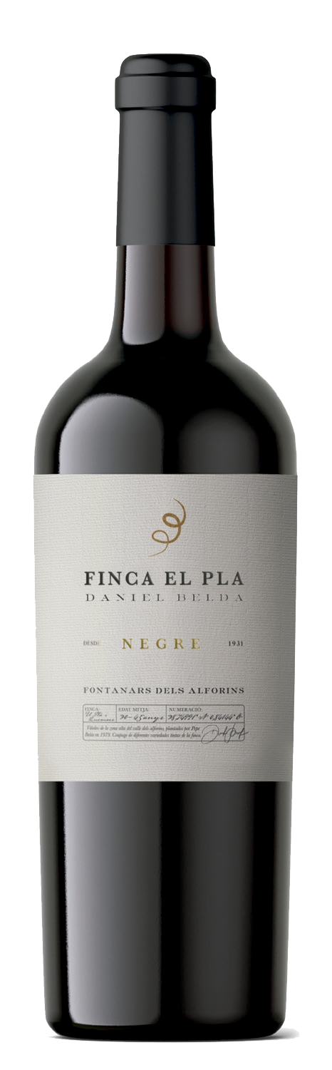 daniel belda finca el pla tinto