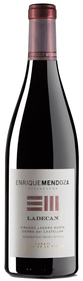 Enrique-Mendoza-Ladecan