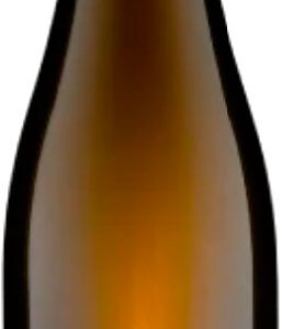seckinger riesling vom loss